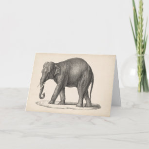 Brodtmann Elephant Sketch Card
