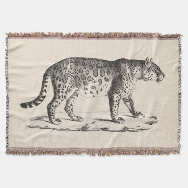 Brodtmann Leopard Sketch Throw Blanket (Front)