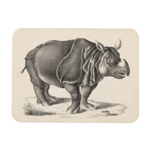 Brodtmann Rhinoceros Sketch Magnet