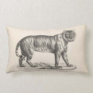Brodtmann Tiger Sketch Lumbar Cushion
