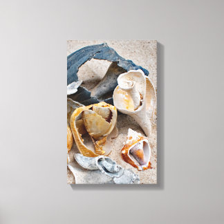 Broken Beach Beauties Canvas Print