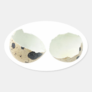 Broken egg shell oval sticker