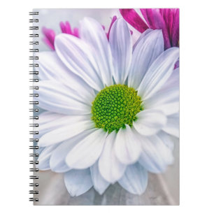 Broken Glass Notebook