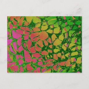 Broken Glass Rainbow Postcard