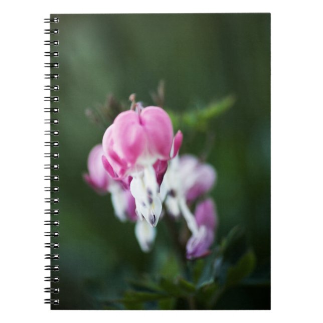 Broken Hearts Line Up Notebook (Front)