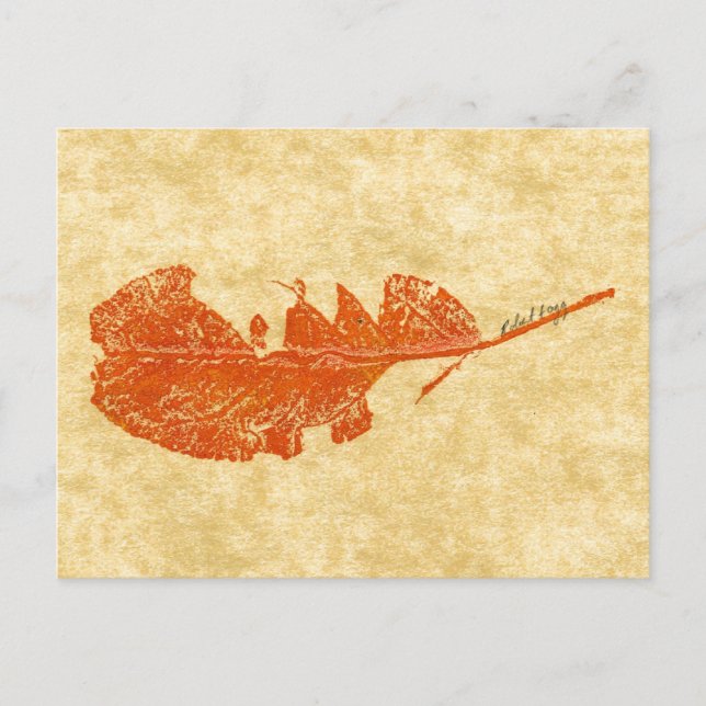 "Broken Leaf #1" Country Roads Postcard (Front)