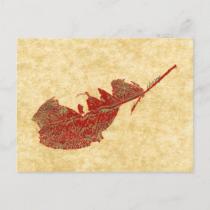 "Broken Leaf #2" Country Roads Postcard