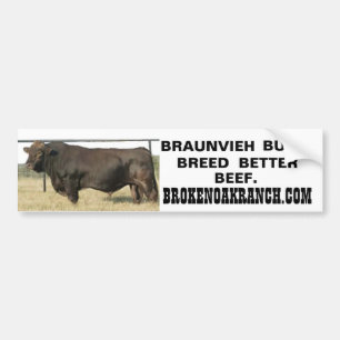 BROKEN OAK RANCH Black Joker Bumper Sticker