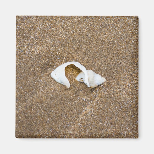Broken shell on a sandy beach fridge magnet (Front)
