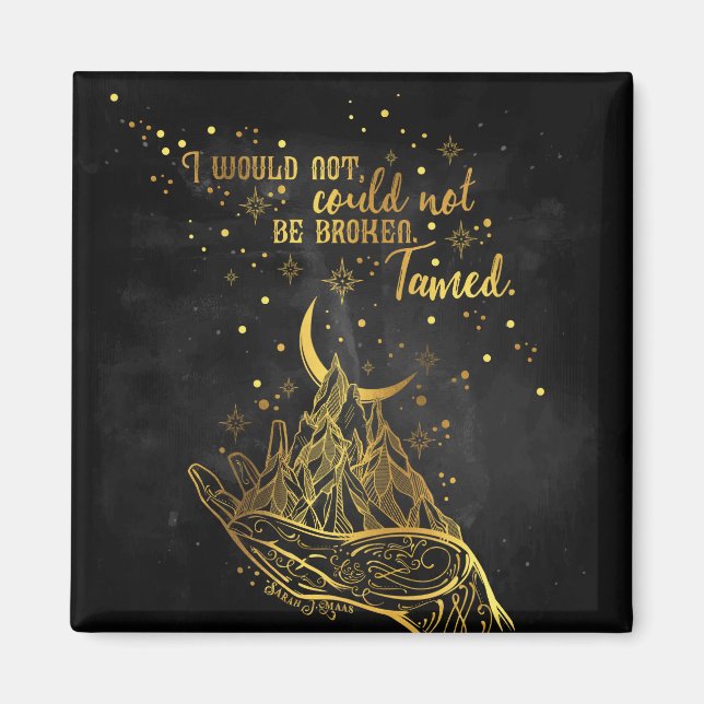 Broken, Tamed magnet (Front)