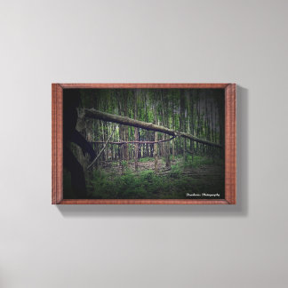 Broken Tree (Bigfoot) Canvas Print