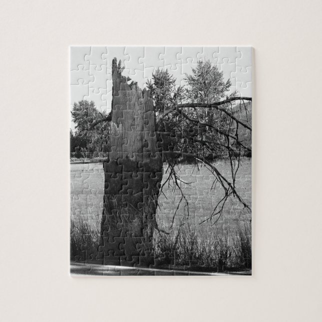 Broken tree jigsaw puzzle (Vertical)