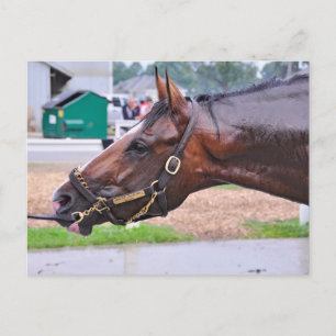 Broken Vow -Copeland's Angel Colt Postcard