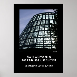 Bromeliad Conservatory Poster