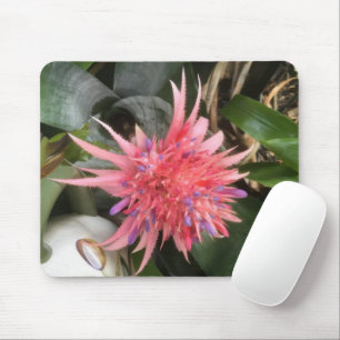 Bromeliad Flower Mouse Mat