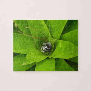 Bromeliad Green Botanical Photography Jigsaw Puzzle