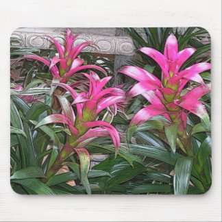 Bromeliad Mouspad Mouse Mat