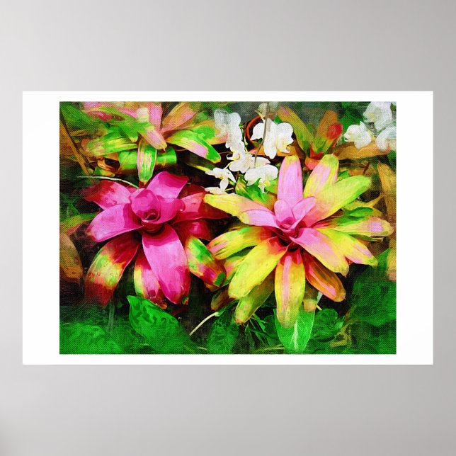 Bromeliad, Oil painting, Tropical Collection Poster (Front)