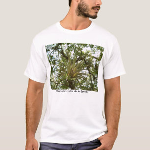 Bromeliad Outside Grutas de la Estrella T-Shirt