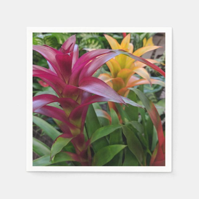 Bromeliad Paper Napkin (Front)