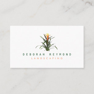 bromeliad plant . landscaping simple white business card
