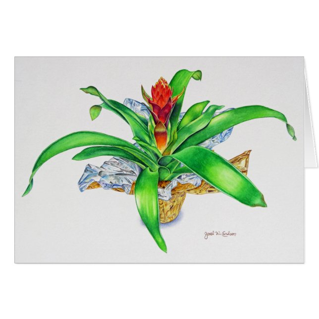 Bromeliad Watercolor (Front Horizontal)