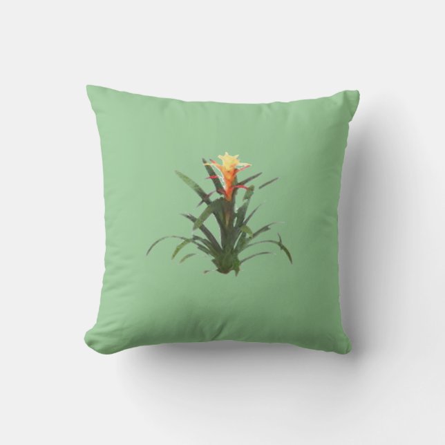 Bromeliad with a flower cushion (Front)