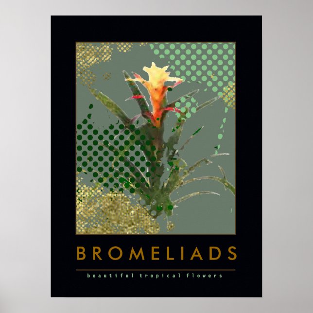 bromeliads art decor suggestion (Front)