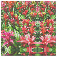 Bromeliads
