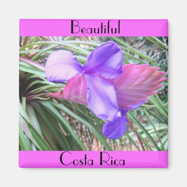 Bromeliads of Costa Rica Magnet (Front)