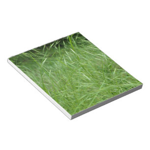 Bromus tectorum notepad