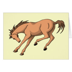 Bronco