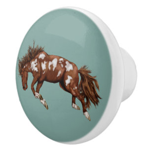 Bronco ceramic knob
