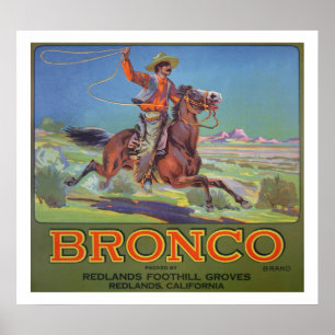 'Bronco Oranges', c.1900 (colour litho) Poster
