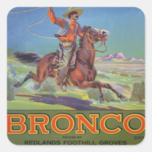 'Bronco Oranges', c.1900 (colour litho) Square Sticker