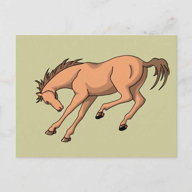 Bronco Postcard (Front)