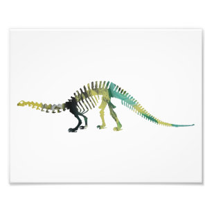 brontosaurus skeleton photo print