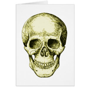 Bronze Human Skull face