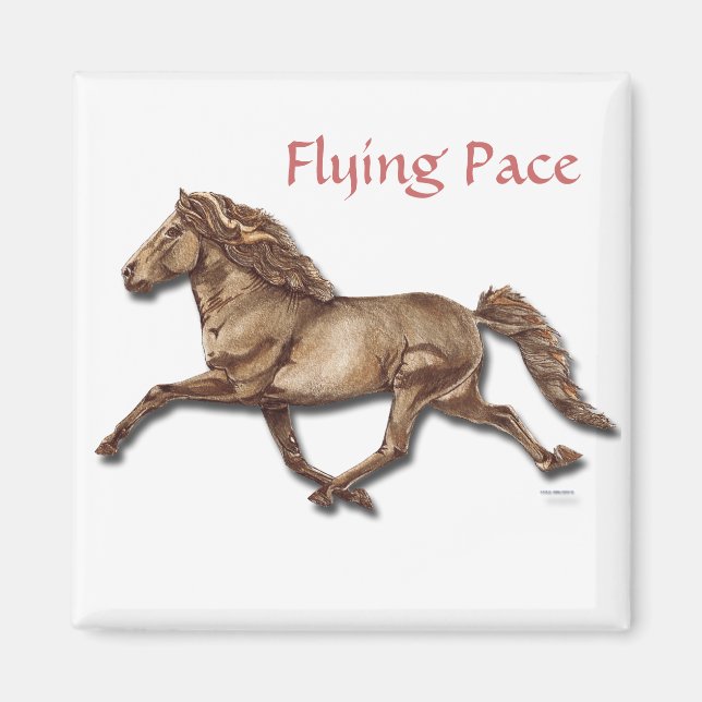 Bronze Icelandic Magnet (Front)