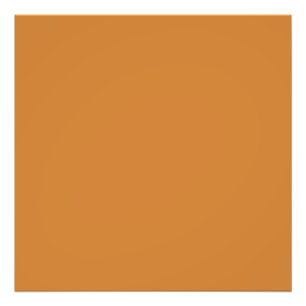 Bronze (solid colour) photo print