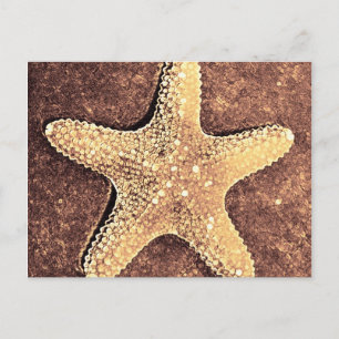 Bronze Starfish Post Card