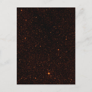 Bronze Stars Postcard