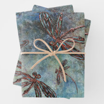 Bronze Tipped Dragonflies on Magical Sky