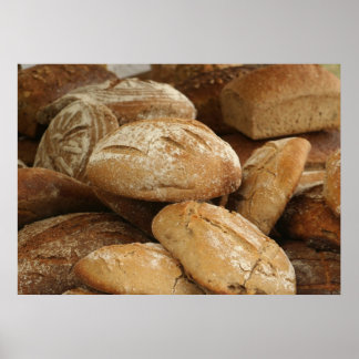 brood poster