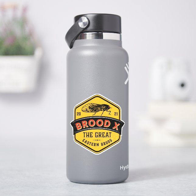 Brood X Cicadas The Great Eastern Brood (HydroFlask)