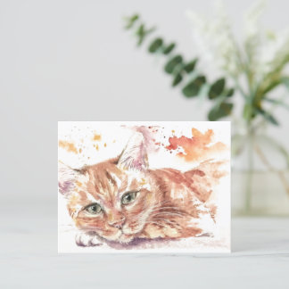 Brooding cat postcard