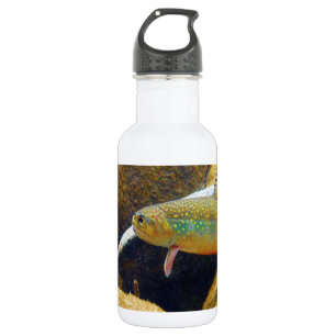 Brook Trout 532 Ml Water Bottle