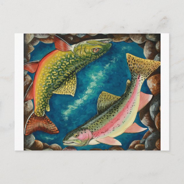 Brook Trout and Rainbow Trout Postcard (Front)