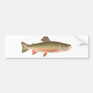 Brook Trout Art Bumper Sticker