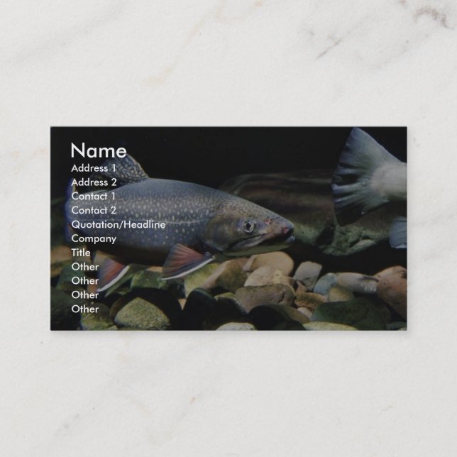 Brook trout business card (Front)